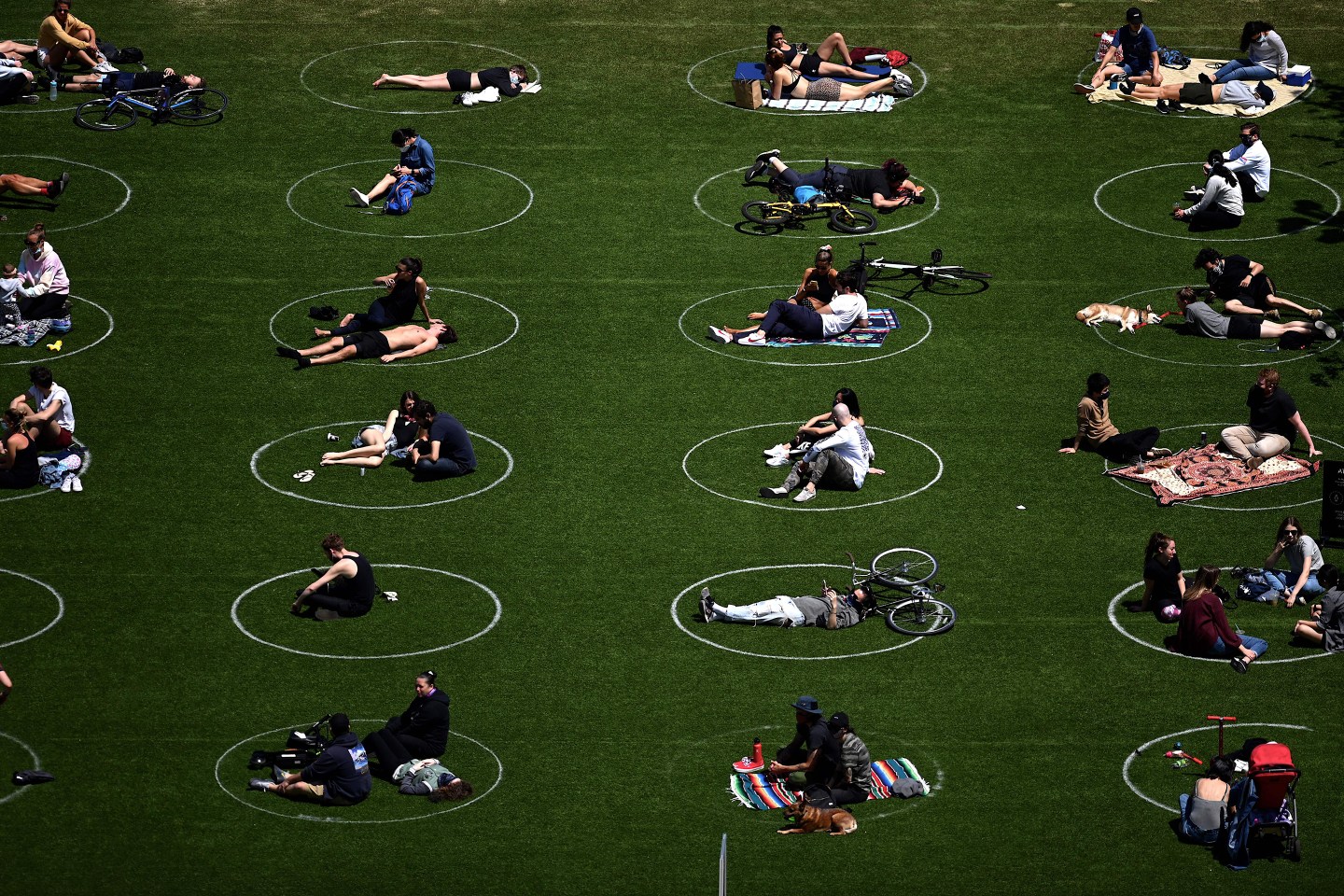 6 Feet Social Distance-Domino Park