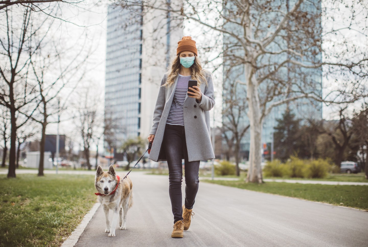 Woman during pandemic isolation walking with her dog in park and use mobile phone