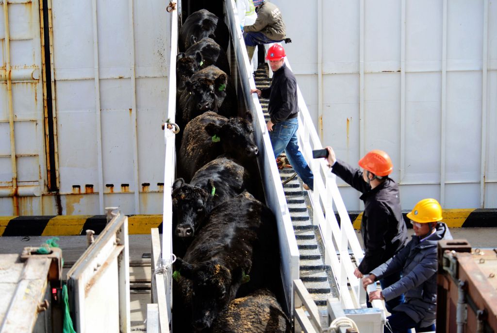 CHINA-US-TRADE-POLITICS