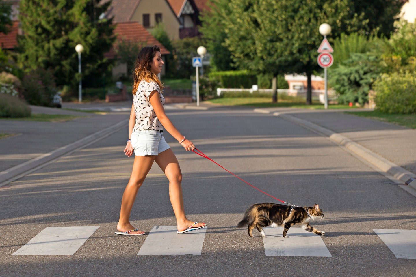 PET.07.20.Cat Walking Leash