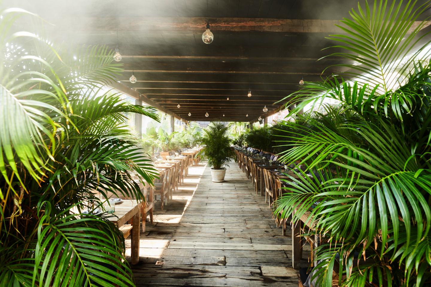 Restaurant owners want and need more guidance on how to reopen from government officials