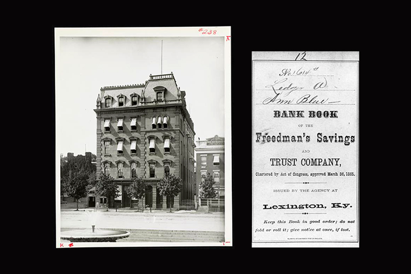 Banking While Black-Freedman's Savings and Trust Company