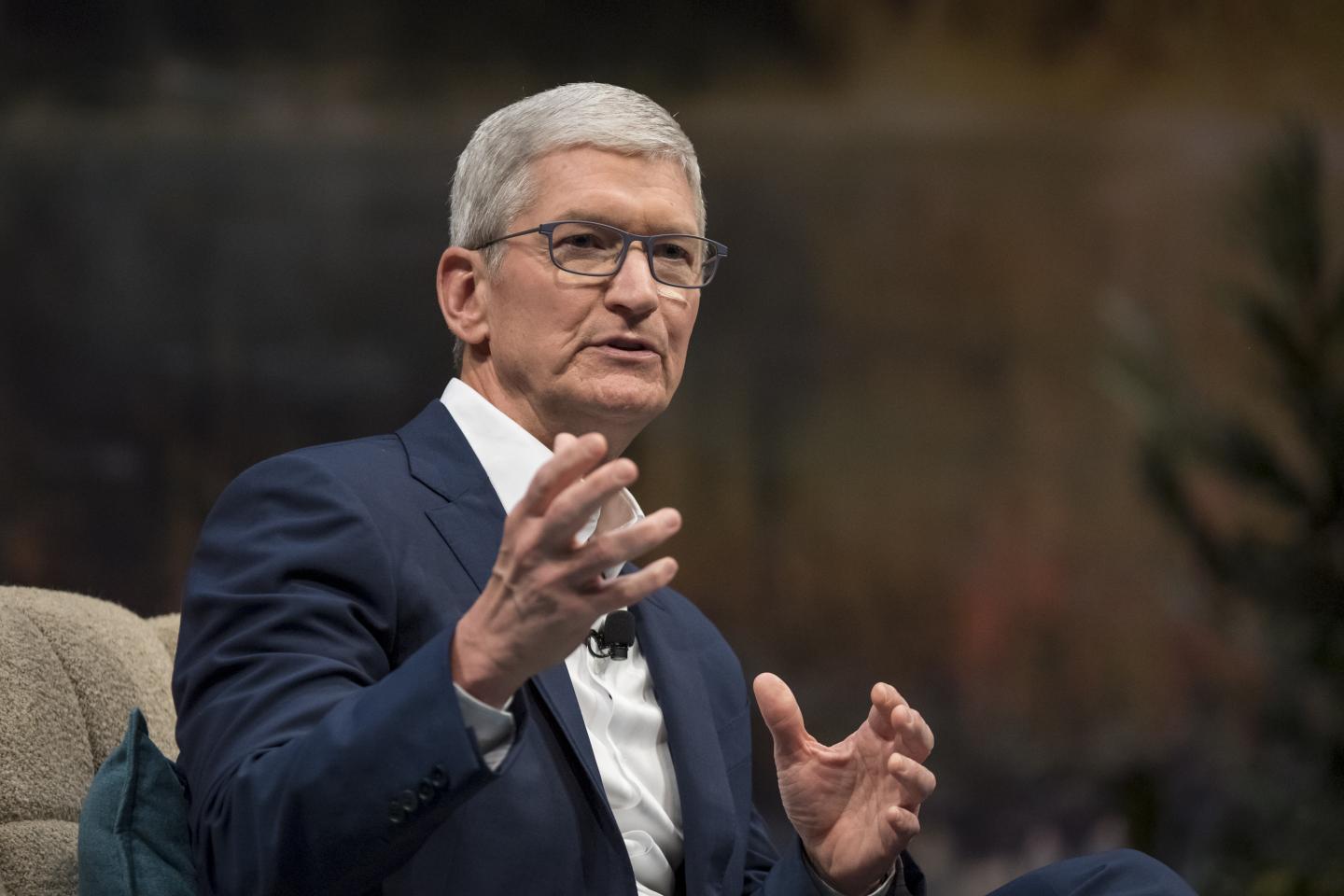 Apple CEO Tim Cook