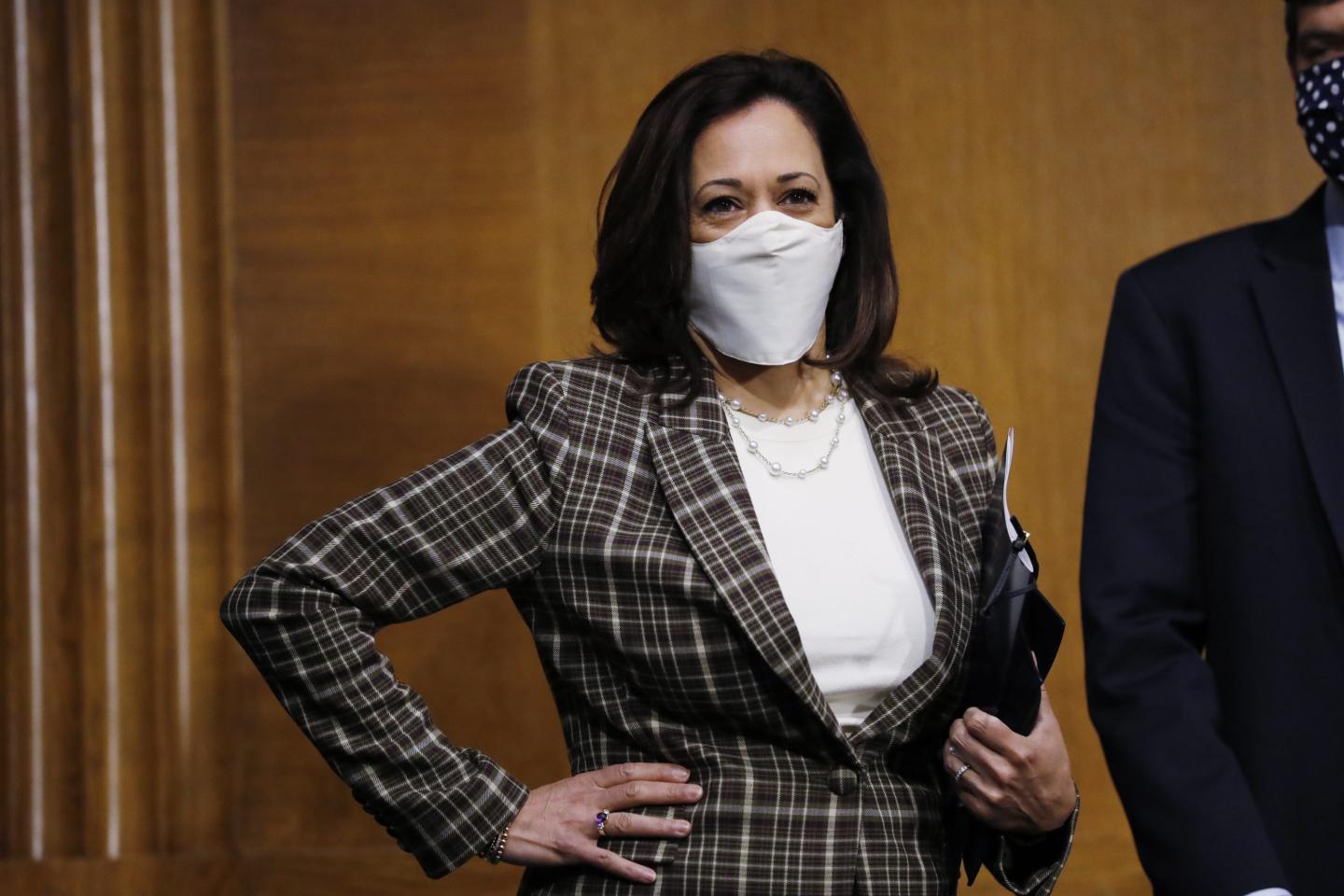 Kamala Harris and Andrew Yang lead the call for monthly coronavirus stimulus payments