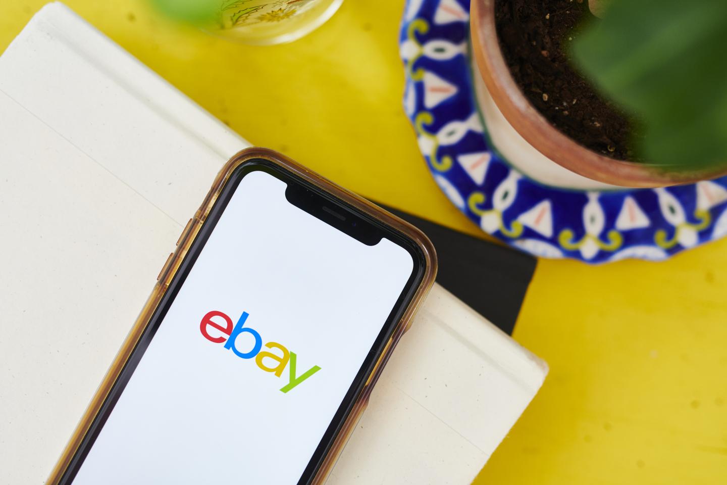 Cockroaches, a bloody pig mask, and a coverup. The 5 craziest allegations against former eBay officials