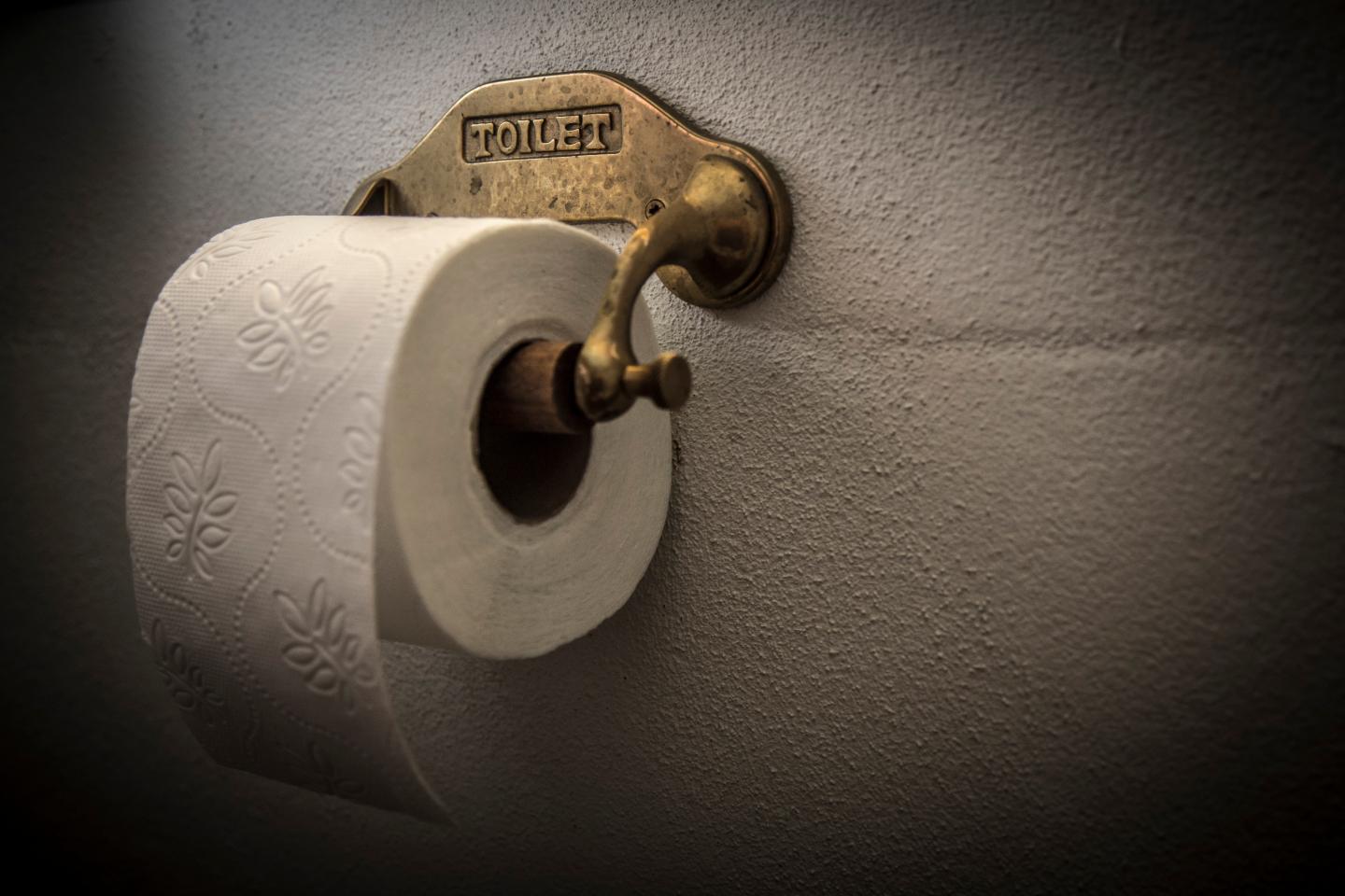 Working from home means softer toilet paper—and a significant toll on the environment