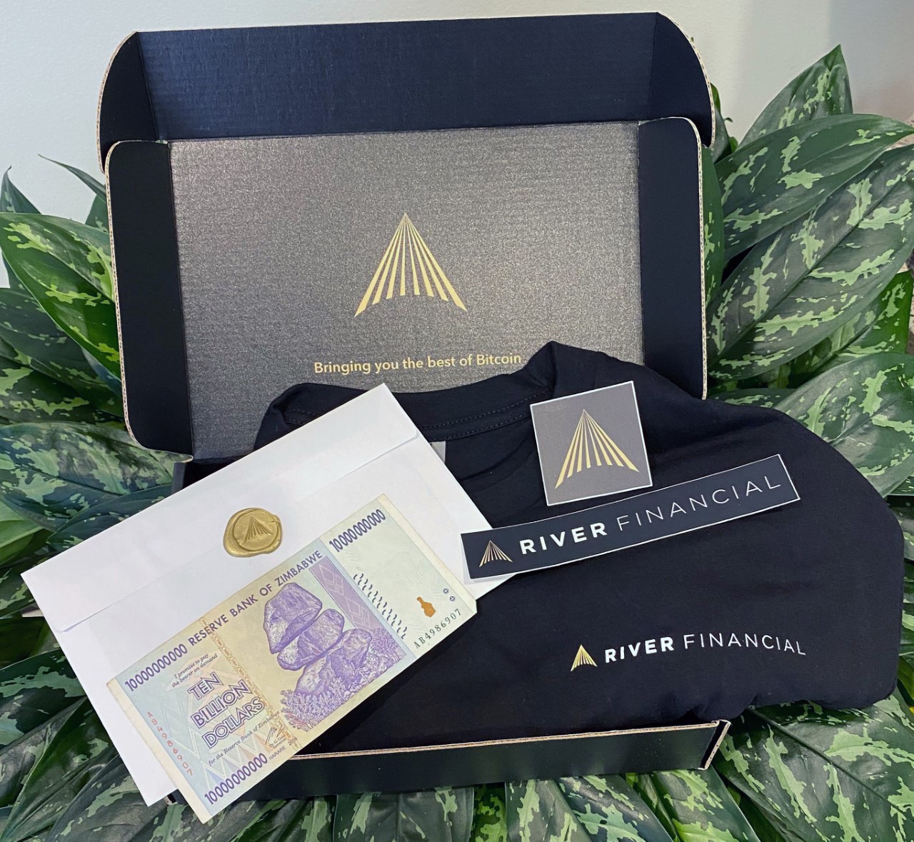 ‘Bitcoin for Boomers’ startup River Financial raises $5.7M