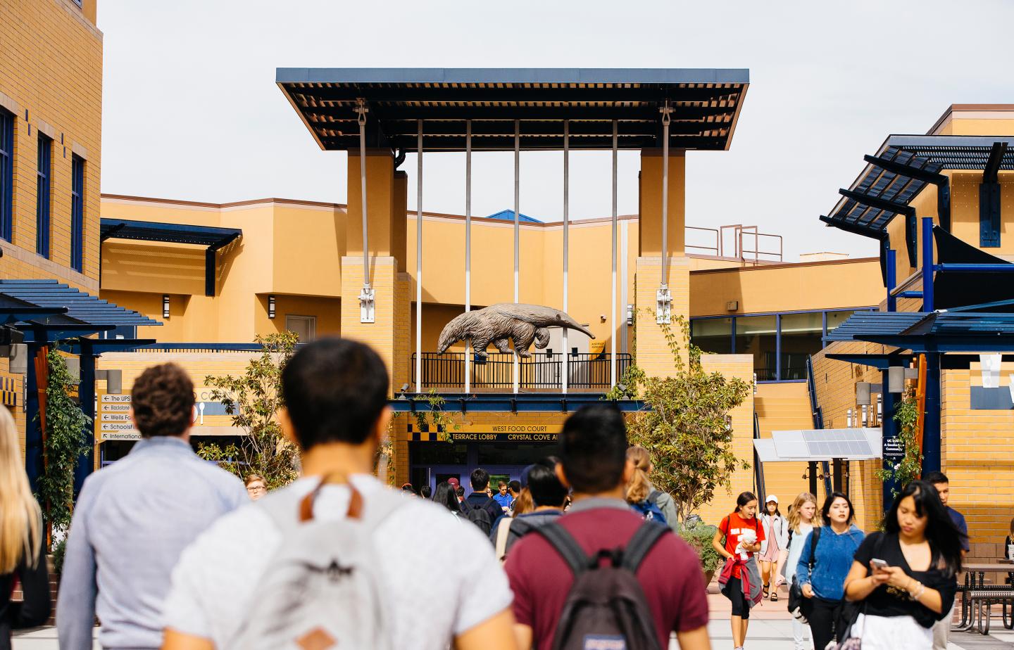 Professors and universities find creative solutions to keep international students from getting deported