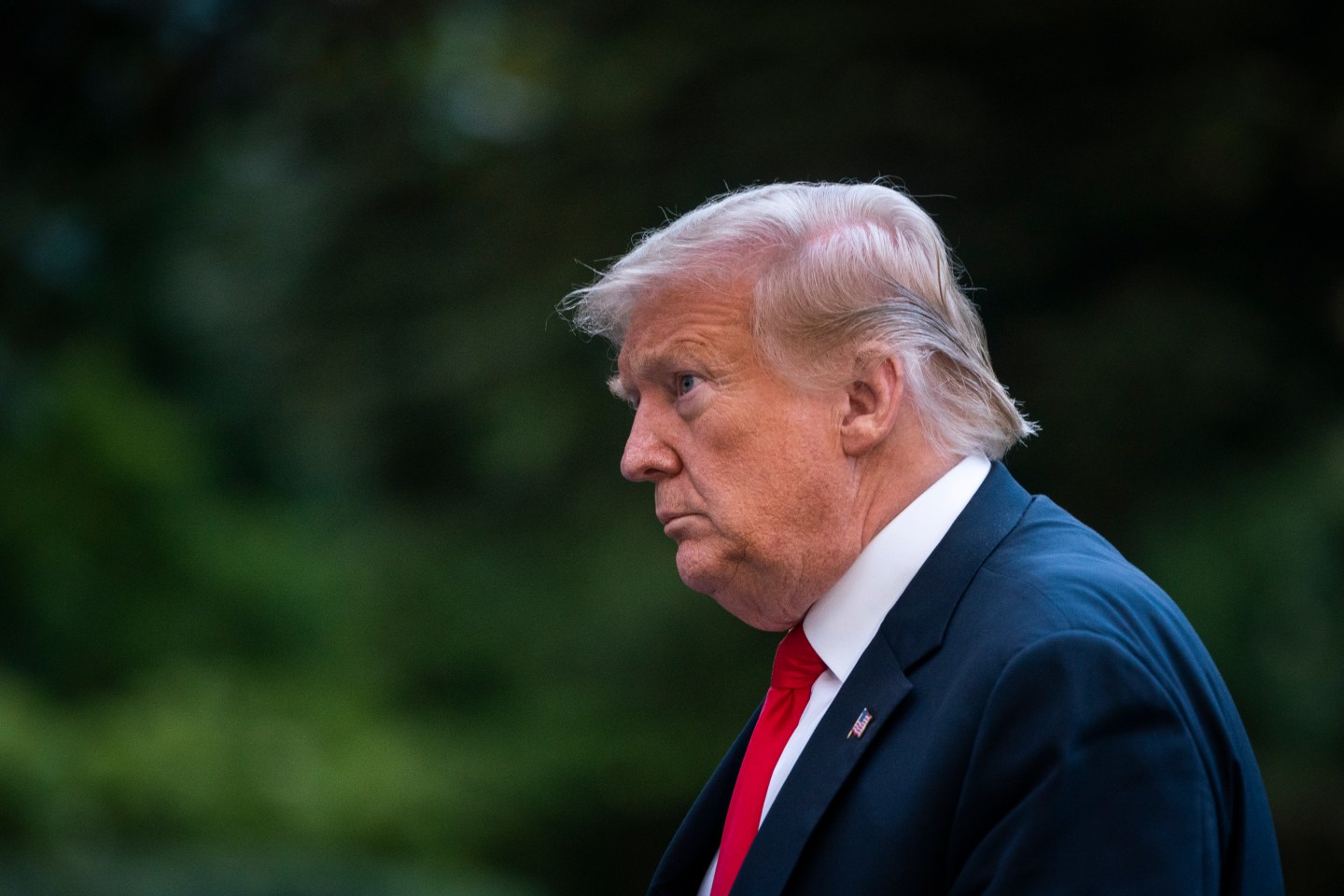 Donald Trump cognitive test