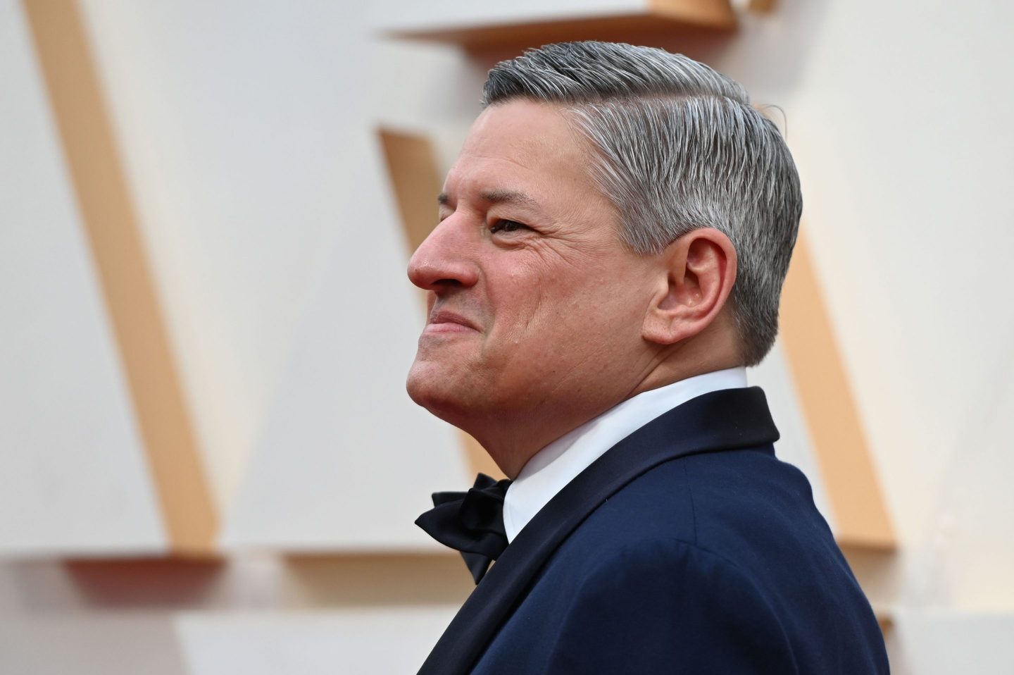 netflix co-ceo ted sarandos