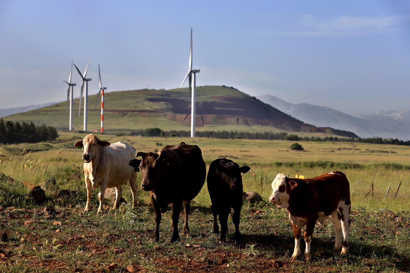Big investors, we can’t fight poverty or protect the planet without you