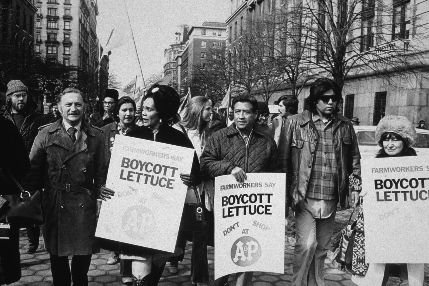 Strike for Black Lives and Farm Workers Union