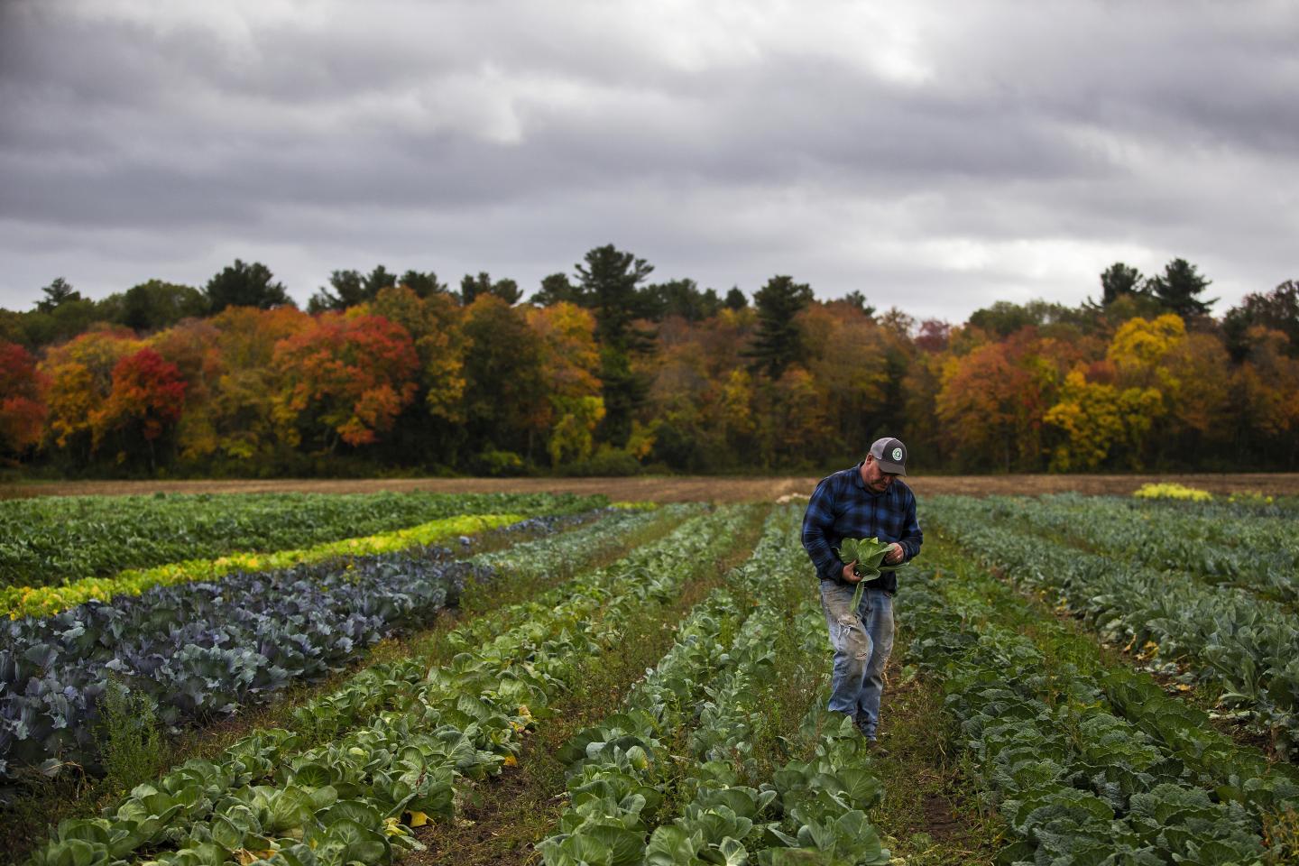 blockchain farming