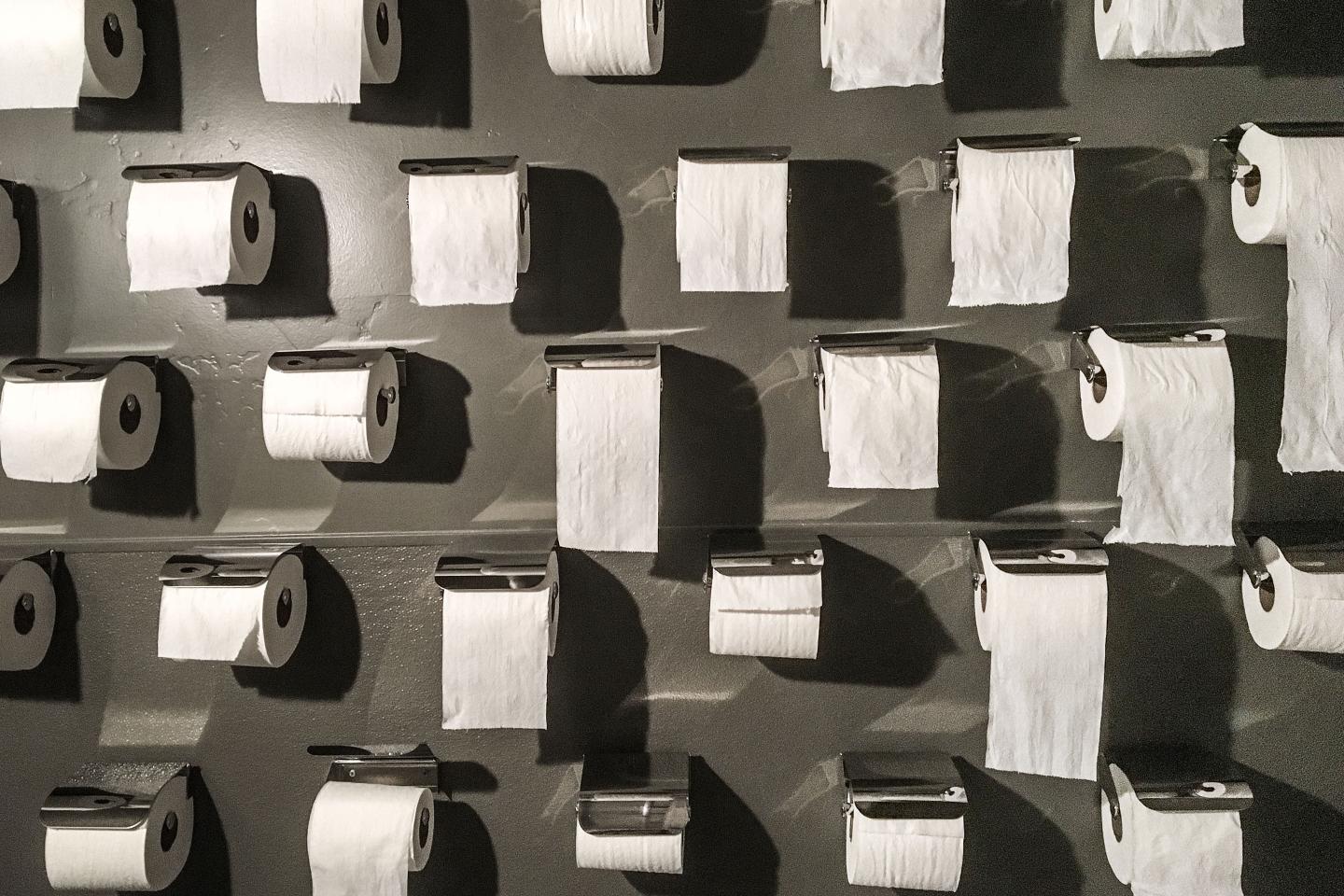 Price Gouging-Toilet Paper Installation