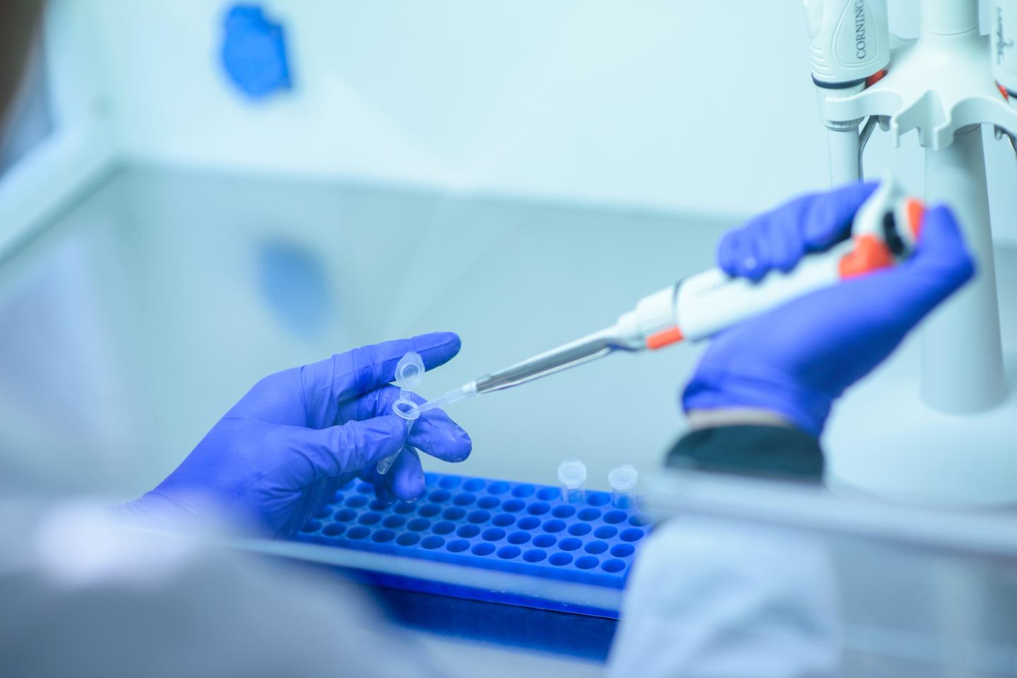 Coronavirus vaccine Americans