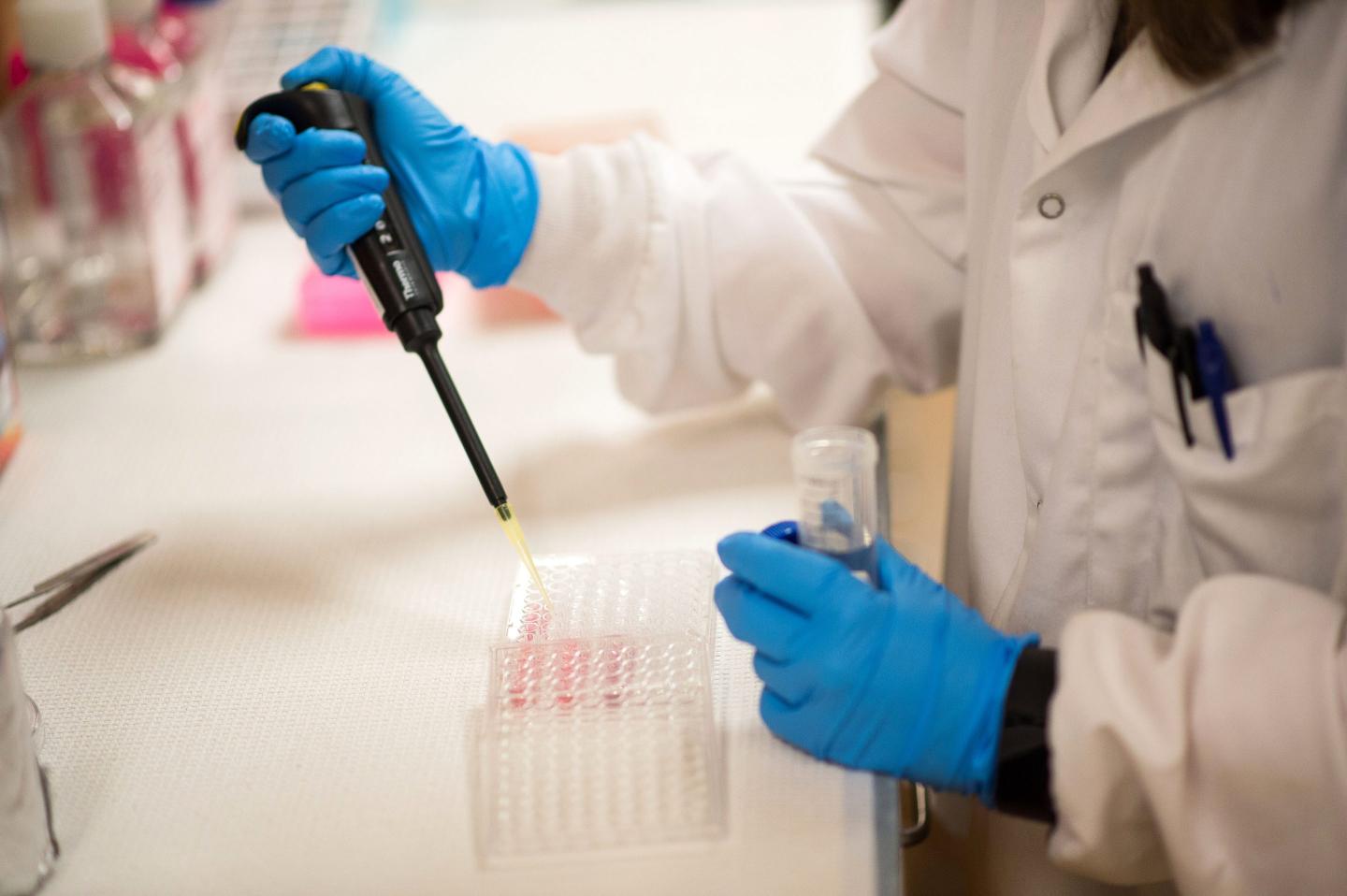 What makes the latest coronavirus testing process, developed by Yale, so promising