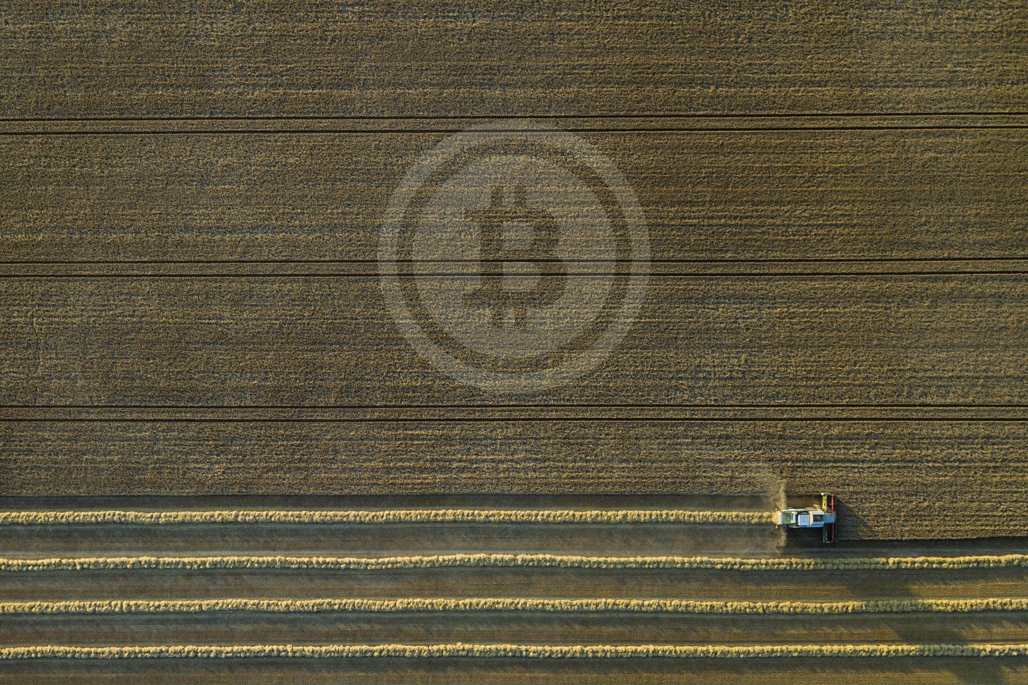 Cryptocurrency-Yield-Farming