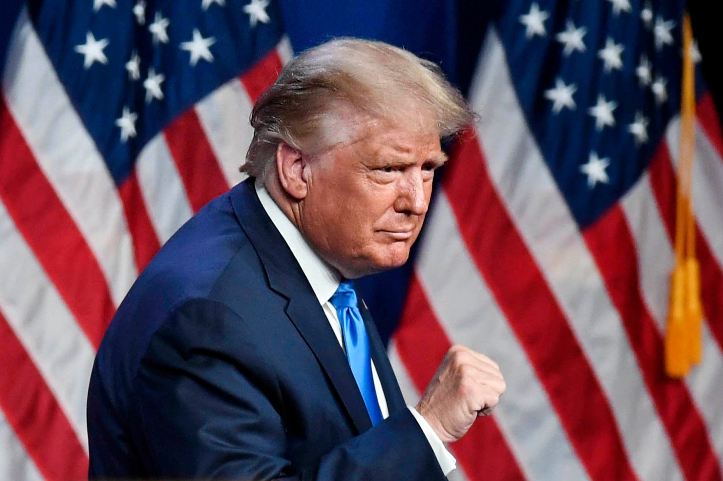 Donald Trump-RNC Platform