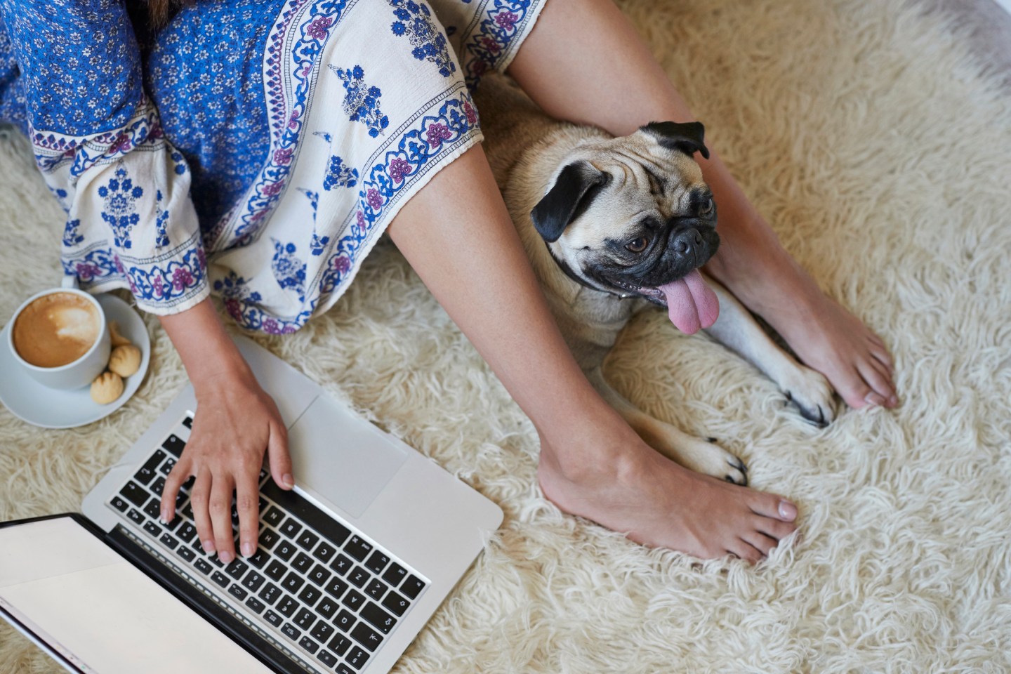 Cropped shot of woman using laptop on the floor together with Puck dog