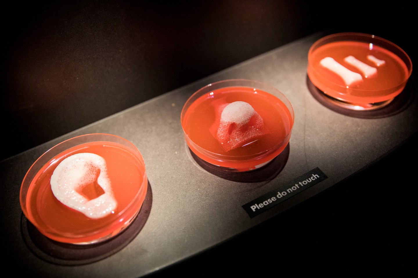 Eyeballs, asthmatics, and 3D-printed organs: New discoveries about COVID-19 abound