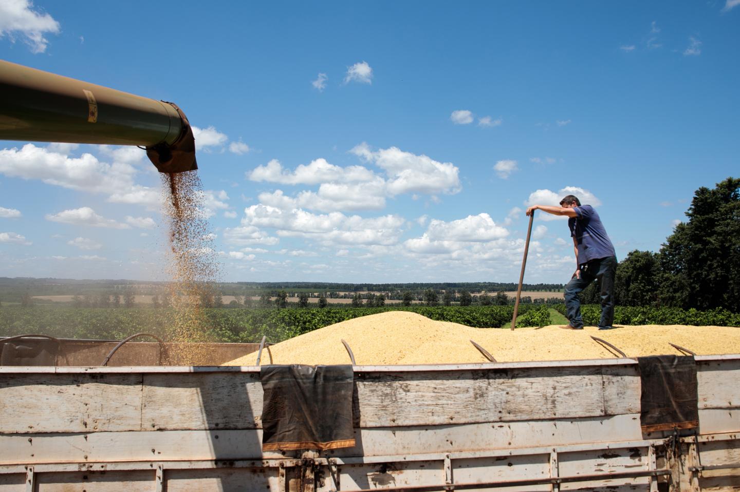 Farmers are selling soybeans two years in advance in rare trade