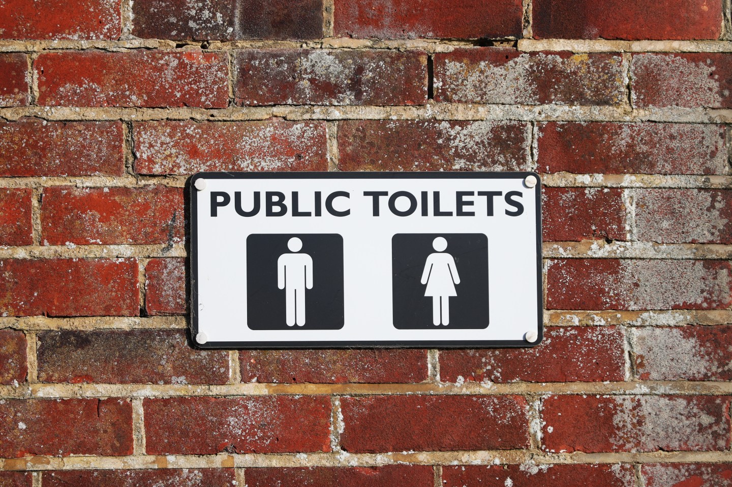 Urinals and toilets may spread COVID-19, new research shows, adding fuel to the mask debate