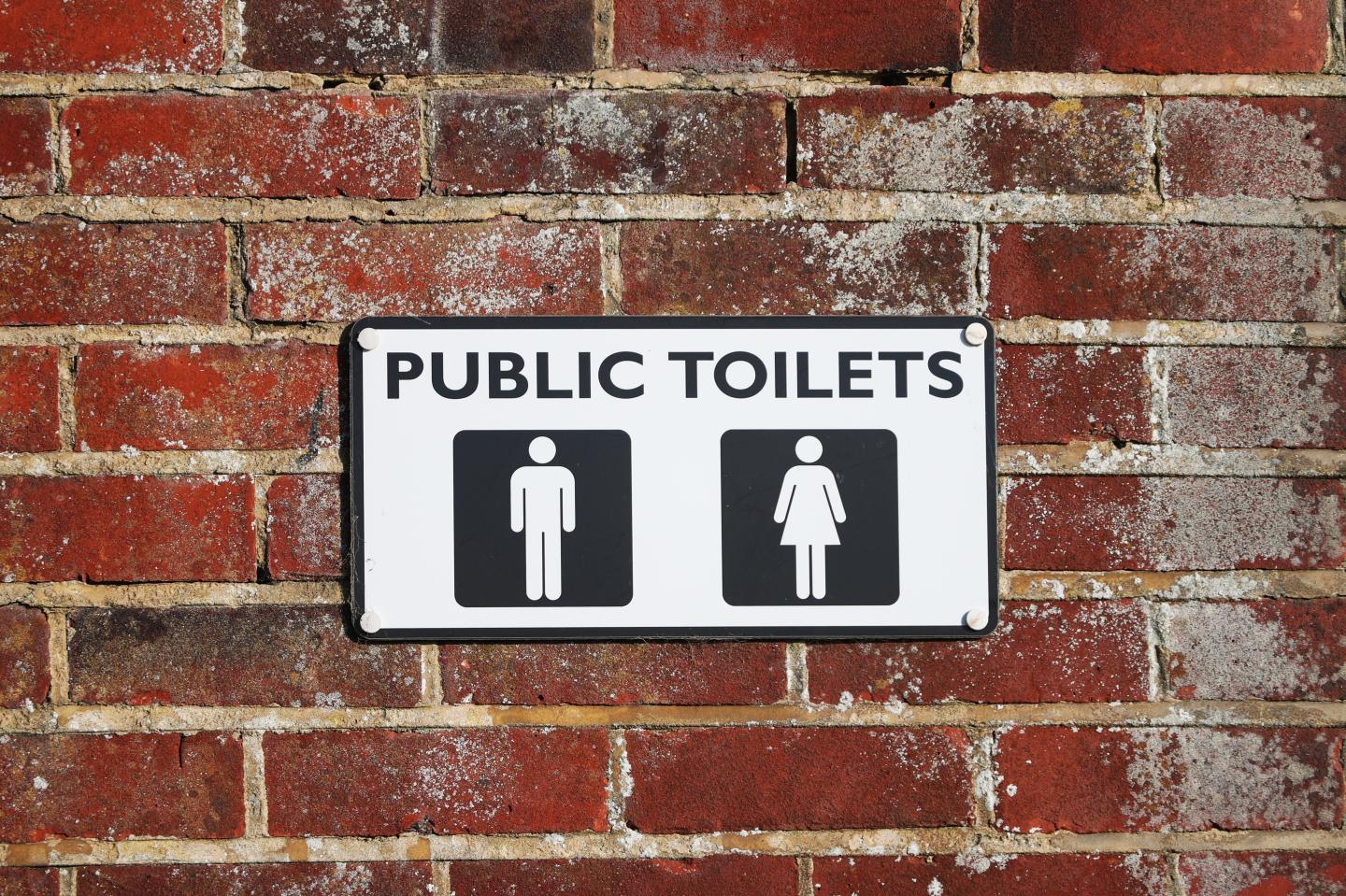 Urinals and toilets may spread COVID-19, new research shows, adding fuel to the mask debate