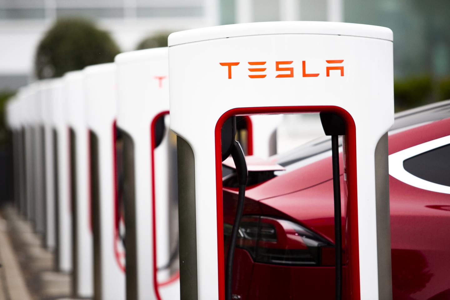 This investment fund made a bold bet on Tesla in the early days of the pandemic