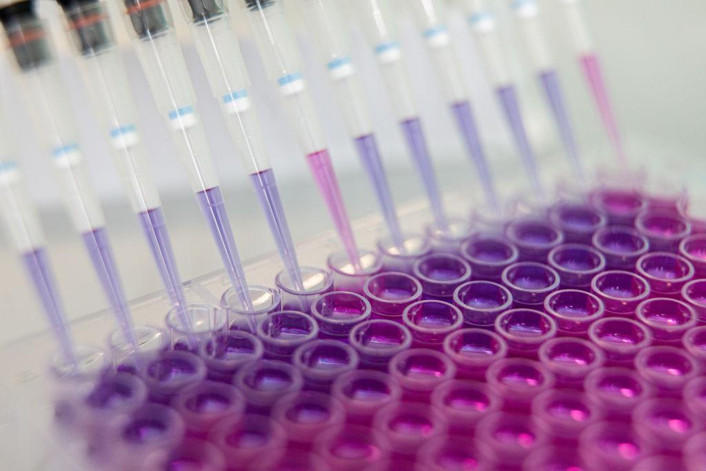 Coronavirus Vaccine Research at Valneva SA Labs