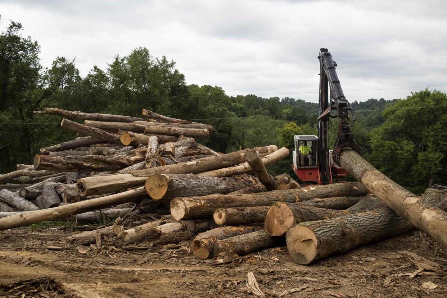 ‘Severe lumber shortage’ is adding $14,000 to the cost of a new home