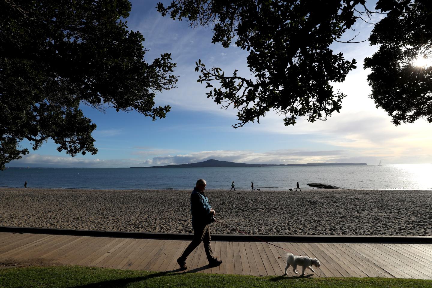 Mystery of New Zealand’s new COVID outbreak deepens as it rules out primary suspect