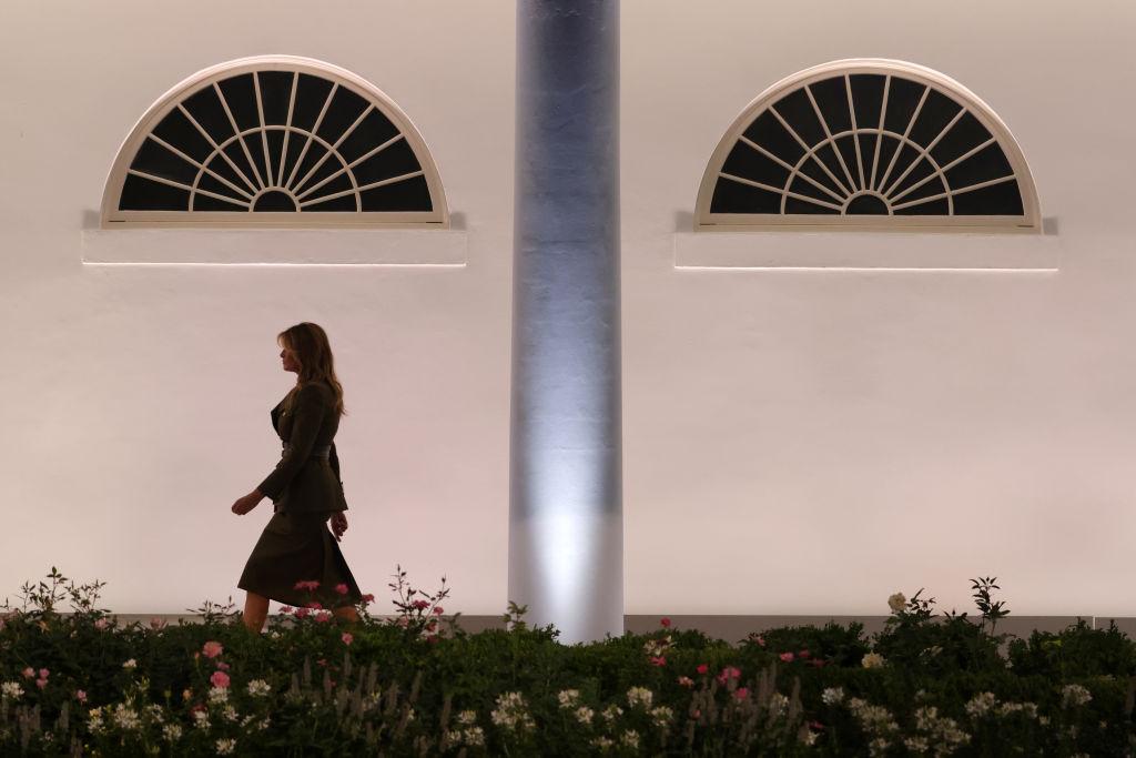 Republicans Hold Virtual 2020 National Convention