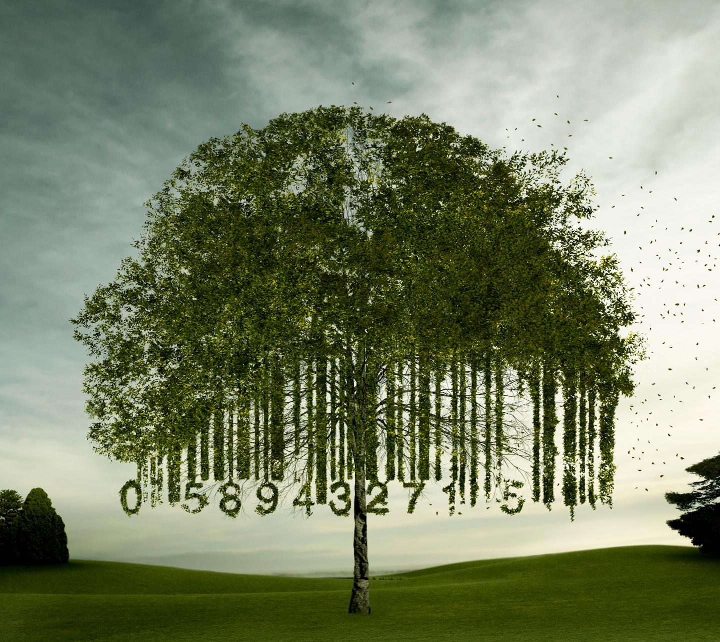 The key to making your company greener? A strong finance team