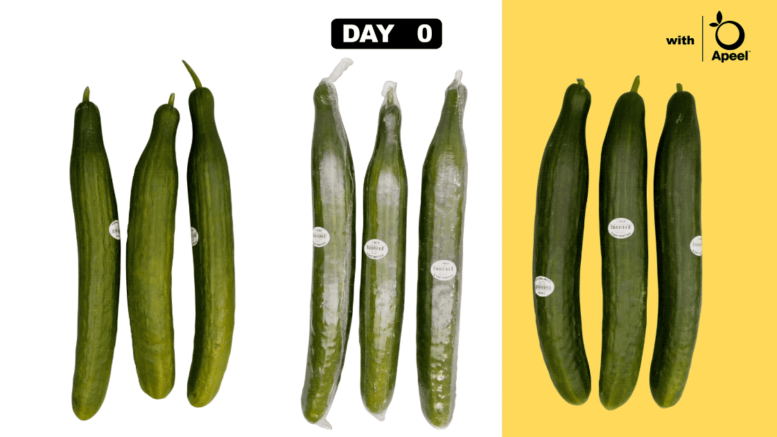 Apeel's "plastic-free" English cucumbers are launching this month in Walmart.