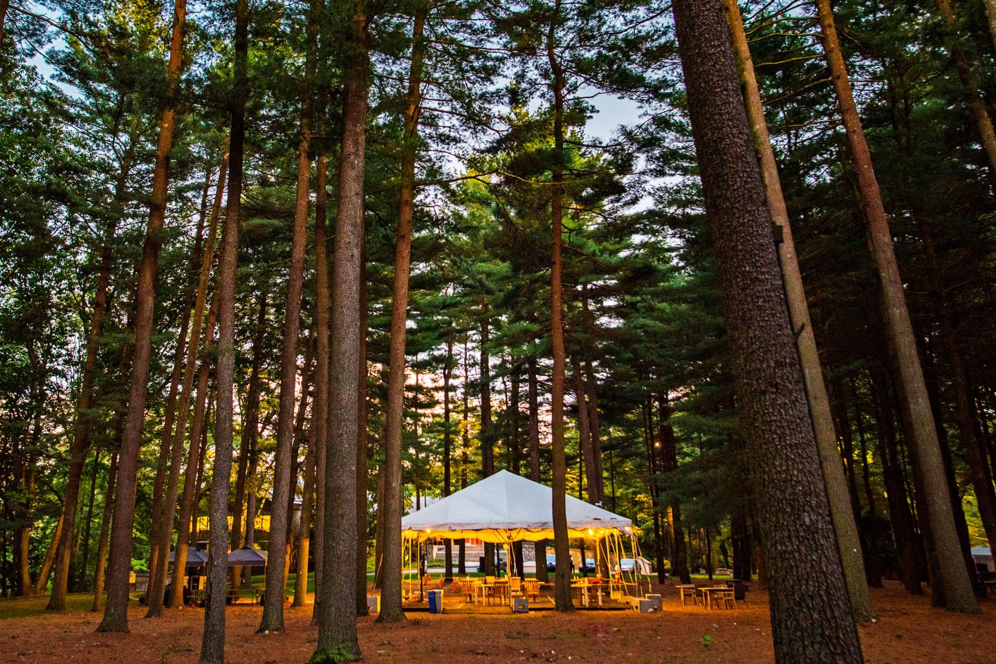 The world’s biggest hedge fund is working from tents in the forest during the COVID pandemic