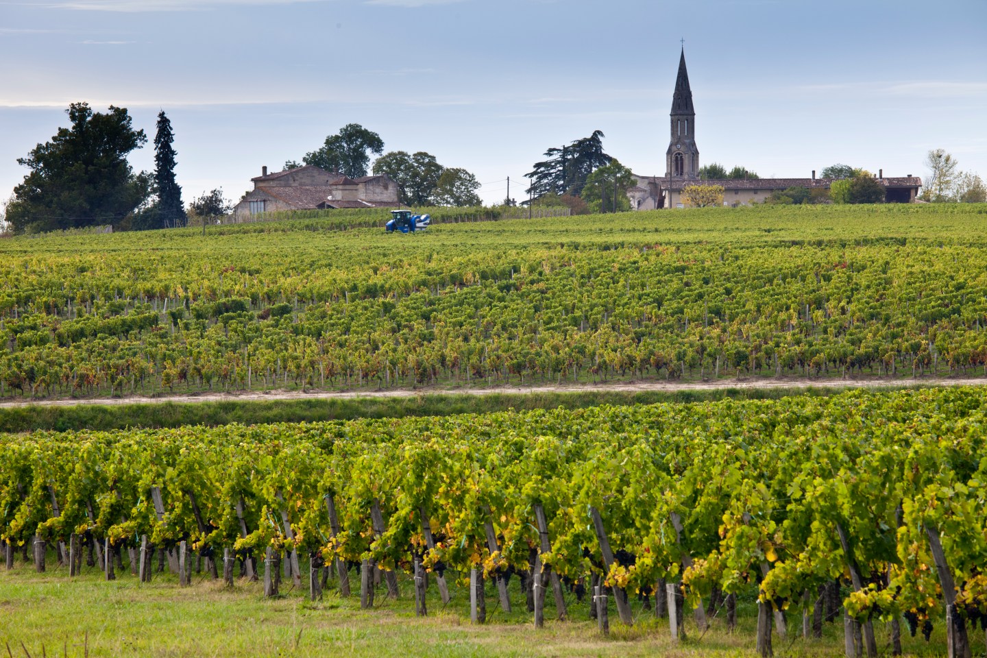 FRANCE - OCTOBER 05: Vine tractor at work during vendange harvest in vineyard at St Emilion, Bordeaux wine region of France (Photo by Tim Graham/Getty Images)