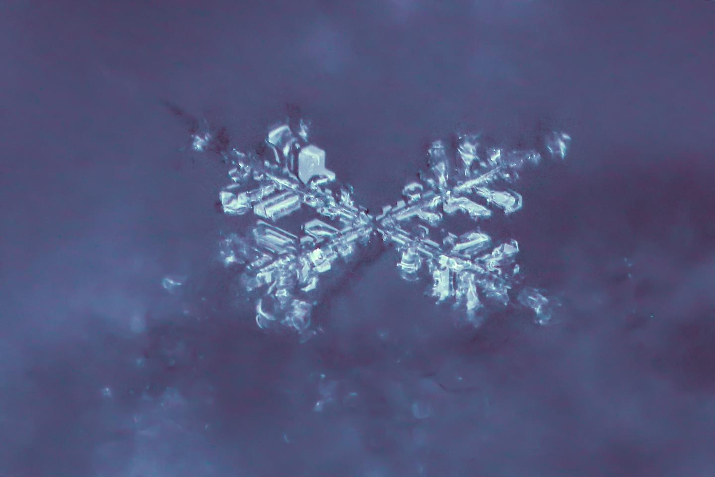 Snowflake’s buzzy IPO just got a little more buzzy