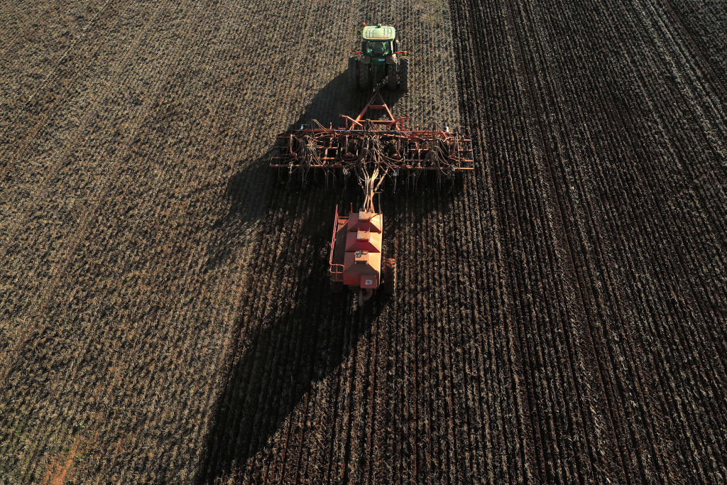 Sowing of Barley in Victoria As China Slaps Duties on Australia's Crop