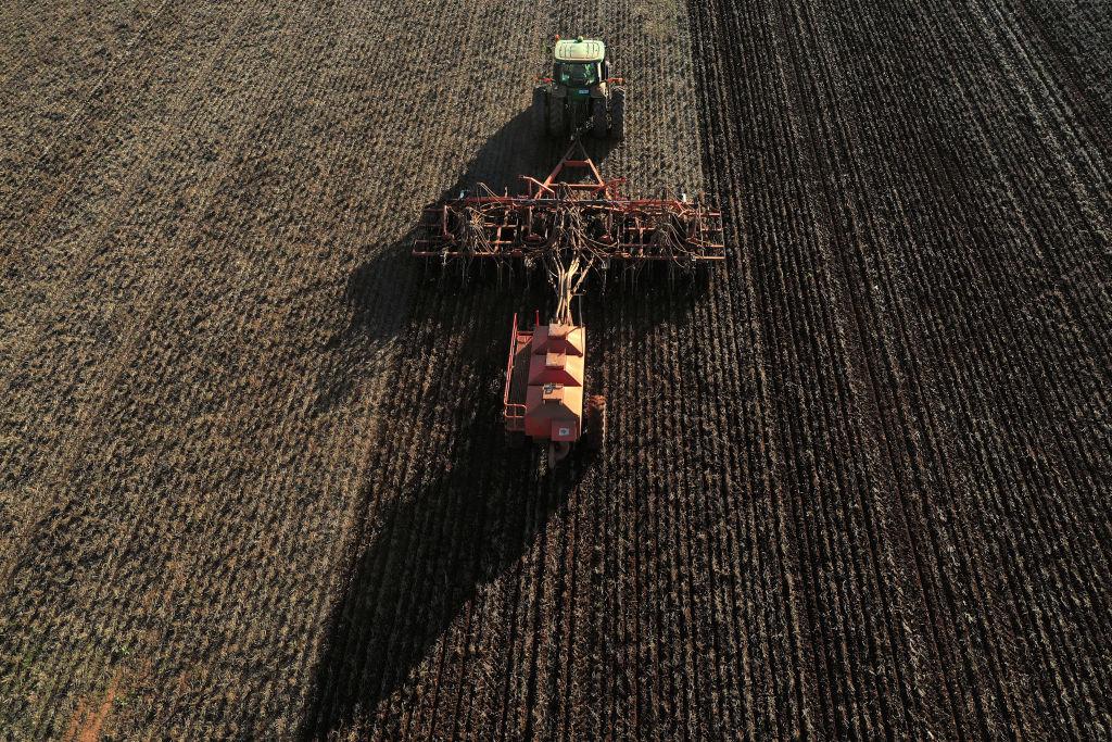 Sowing of Barley in Victoria As China Slaps Duties on Australia's Crop