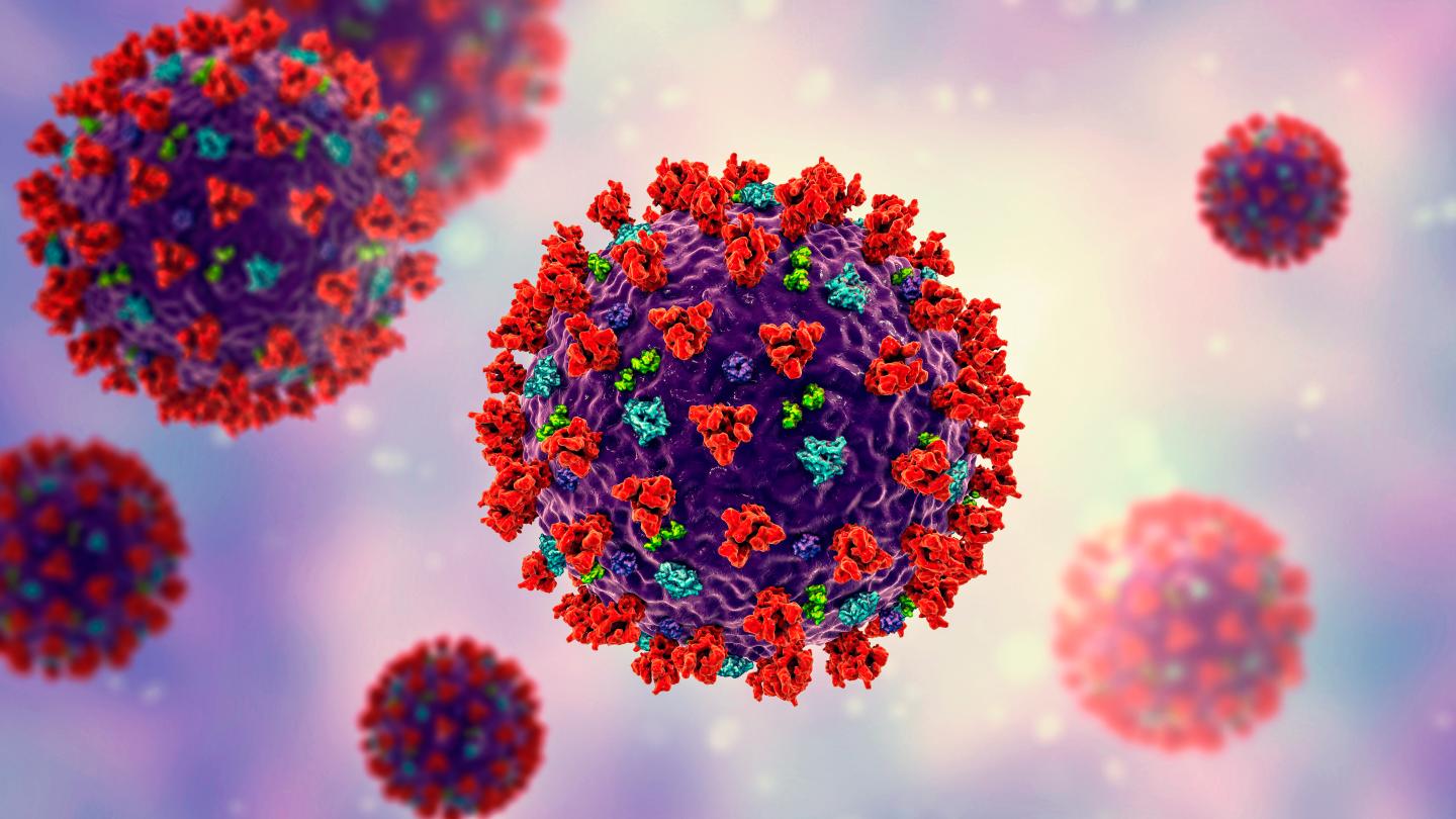 Illustration of coronavirus particles. Coronaviruses are a group of viruses named for their appearance under electron microscopy, where their round-tipped surface spikes make them resemble a crown.