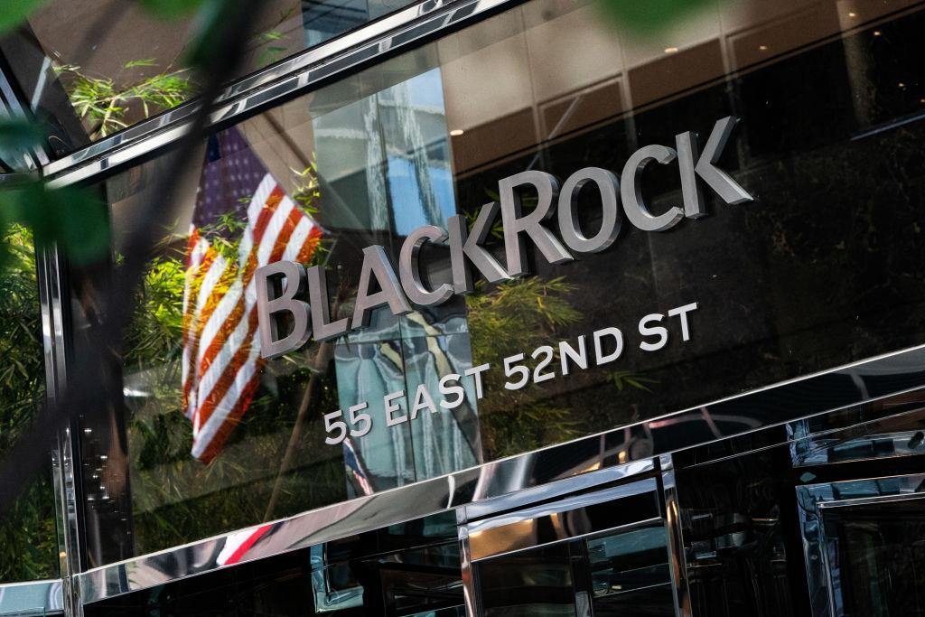BlackRock’s action on climate change doesn’t match CEO Larry Fink’s pledge