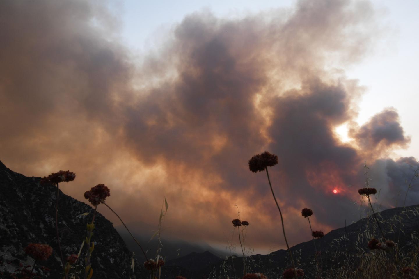 California faces widespread power cuts after weeks of destructive wildfires