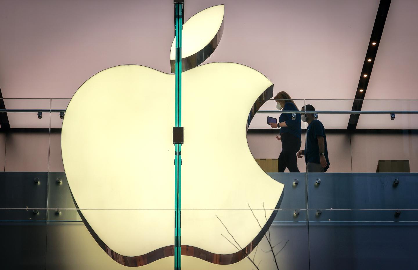 As investors pull back, this Big Tech darling is flirting with bear territory