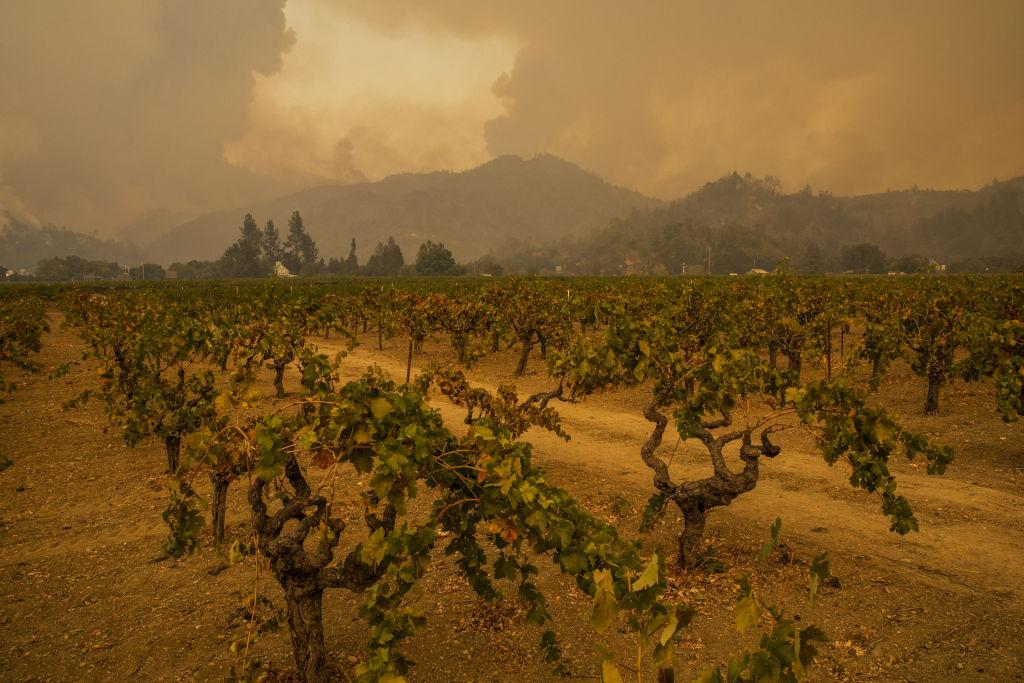 Wildfire ripping through California wine country expands as thousands flee