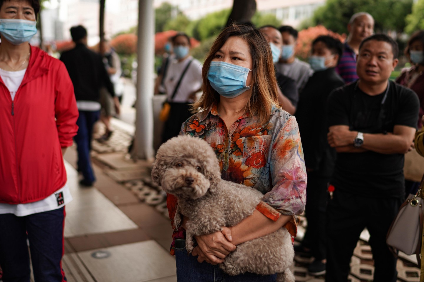 Are humans transmitting the coronavirus to animals?