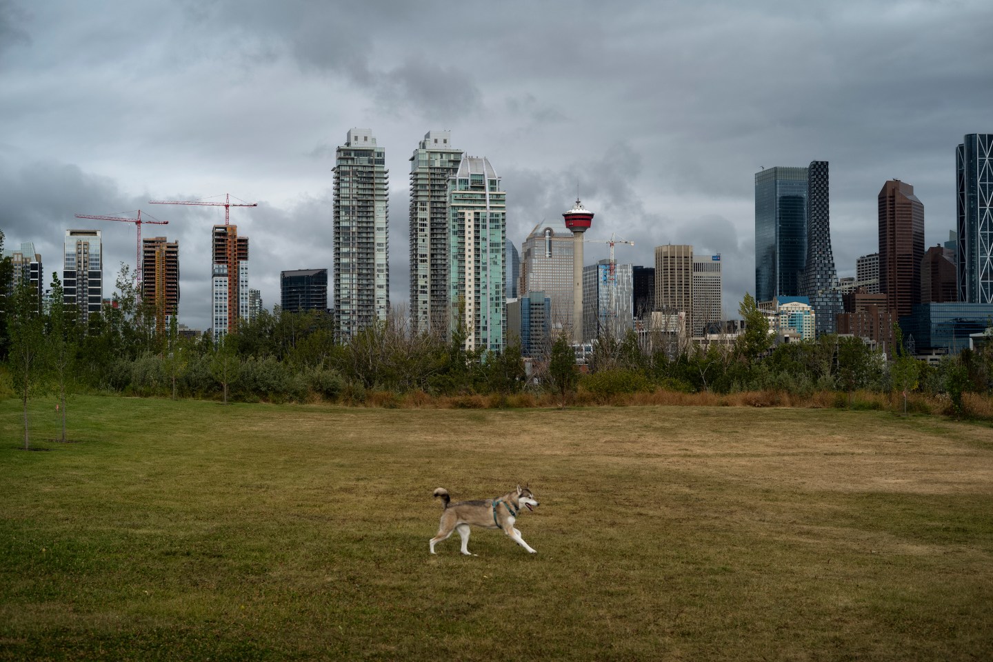 Calgary after the oil rush