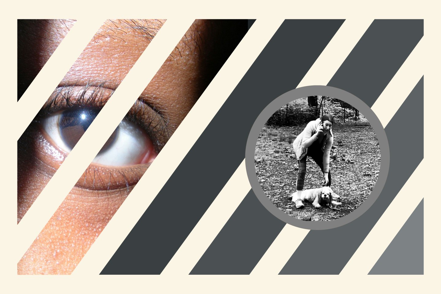 amy cooper illustration