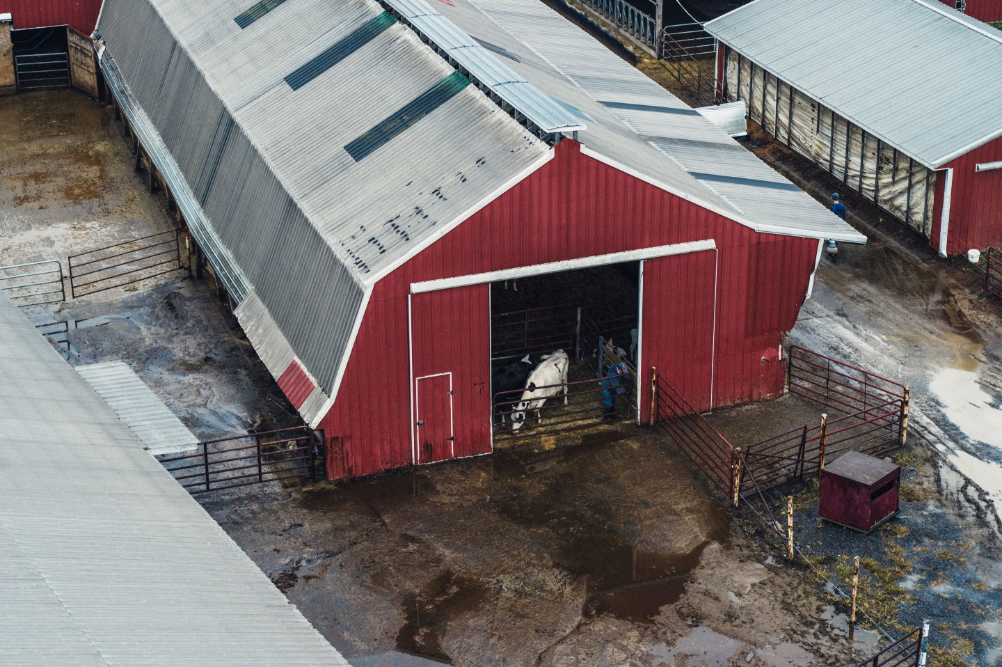 In an example of rethinking its supply chain, farmer-owned cooperative Land O'Lakes diverted its farmers' milk to keep them from having to dump it during the height of the pandemic.