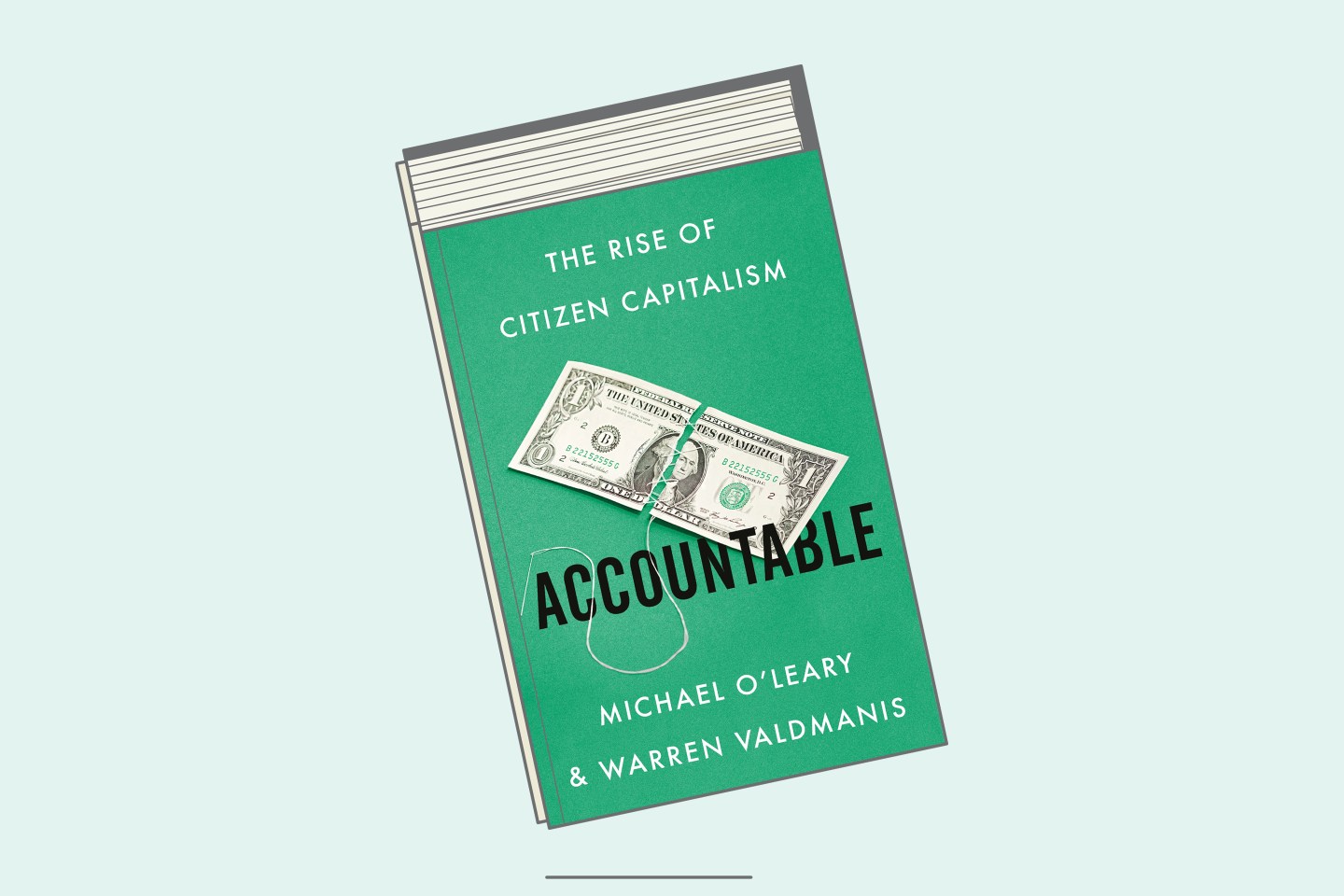 Accountable-The Rise of Citizen Capitalism-Book Cover