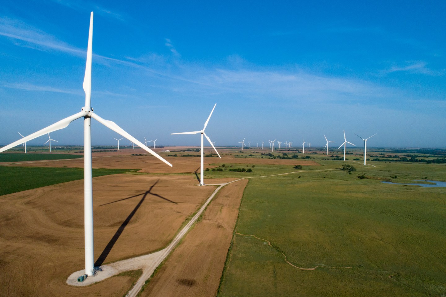 Oil and gas giant BP has committed to reaching “net zero” emissions by 2050.